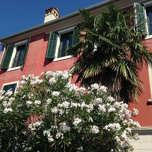 Rovinj's Flowers , Rovigno Croazia